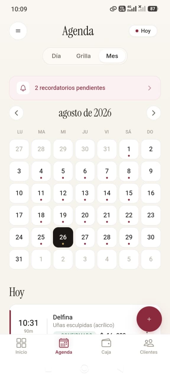 Agenda mensual de Nailsy en el celular, un buen ejemplo de screenshot para mostrar disponibilidad en historias de Instagram
